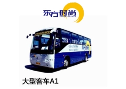 增駕大客平日班