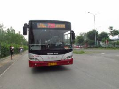 無證駕駛負全責 或罰款拘留