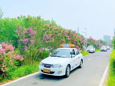 新學(xué)員做好這幾個(gè)步驟，逢考必過