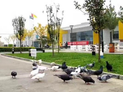 北京東方時尚駕校園區(qū)