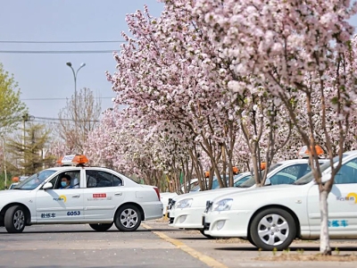 考駕照科一考試口訣速記簡單