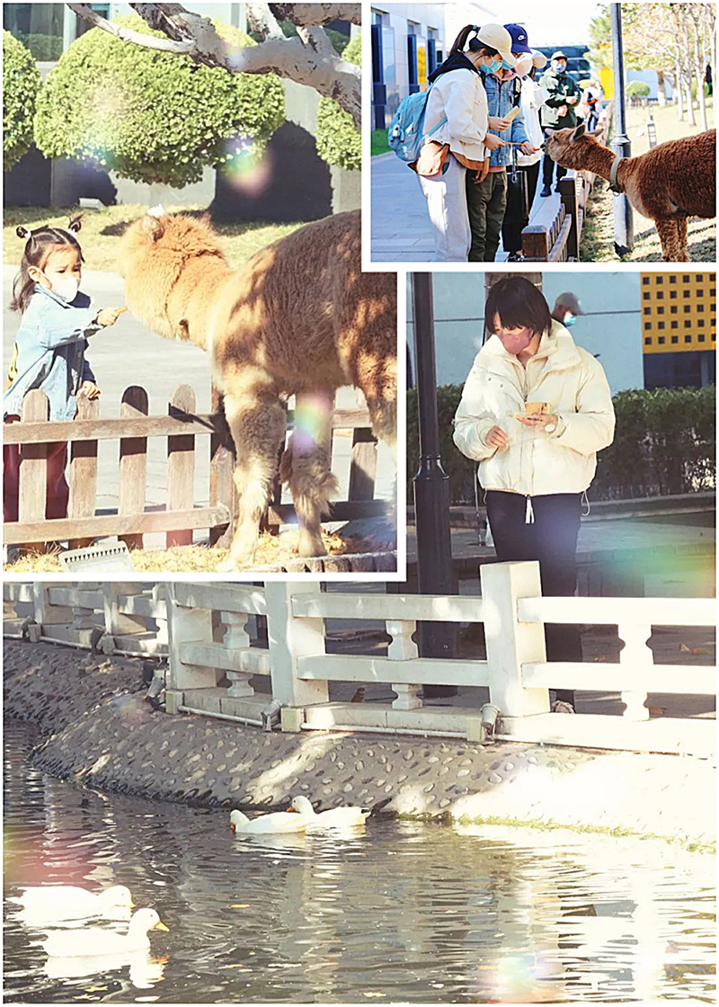 北京東方時(shí)尚駕校怎么樣大眾點(diǎn)評(píng)