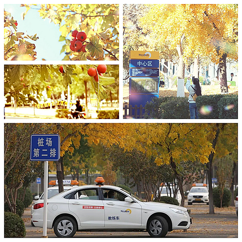 考駕照常遇到的問題有哪些？