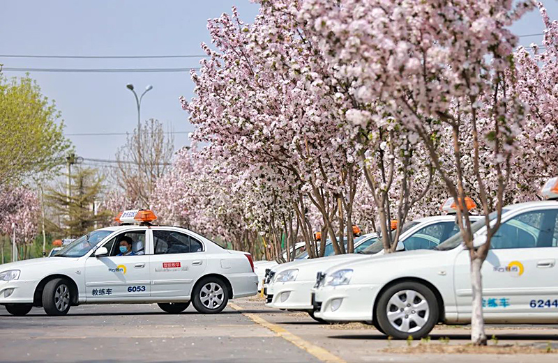 練好科目三的技巧有哪些呢？